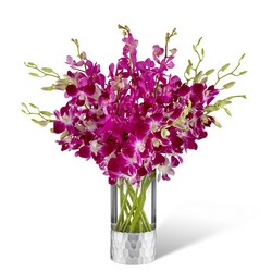 The FTD Orchid Bouquet by Vera Wang from Victor Mathis Florist in Louisville, KY